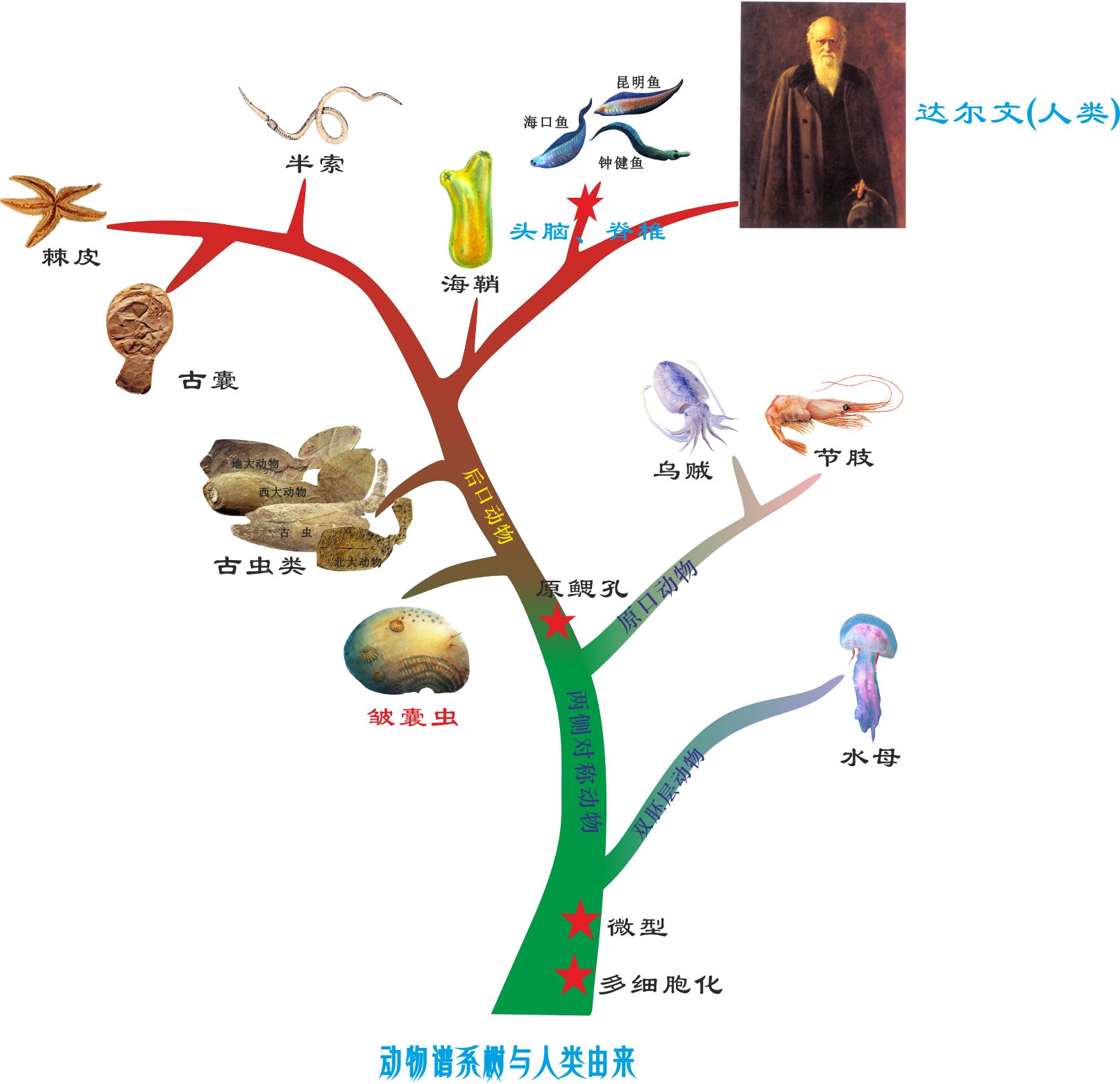 网赌网站