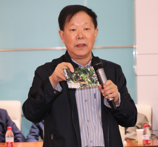 网赌网站