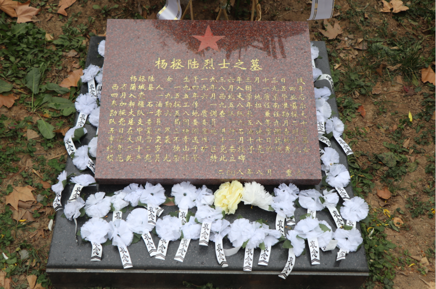 网赌网站