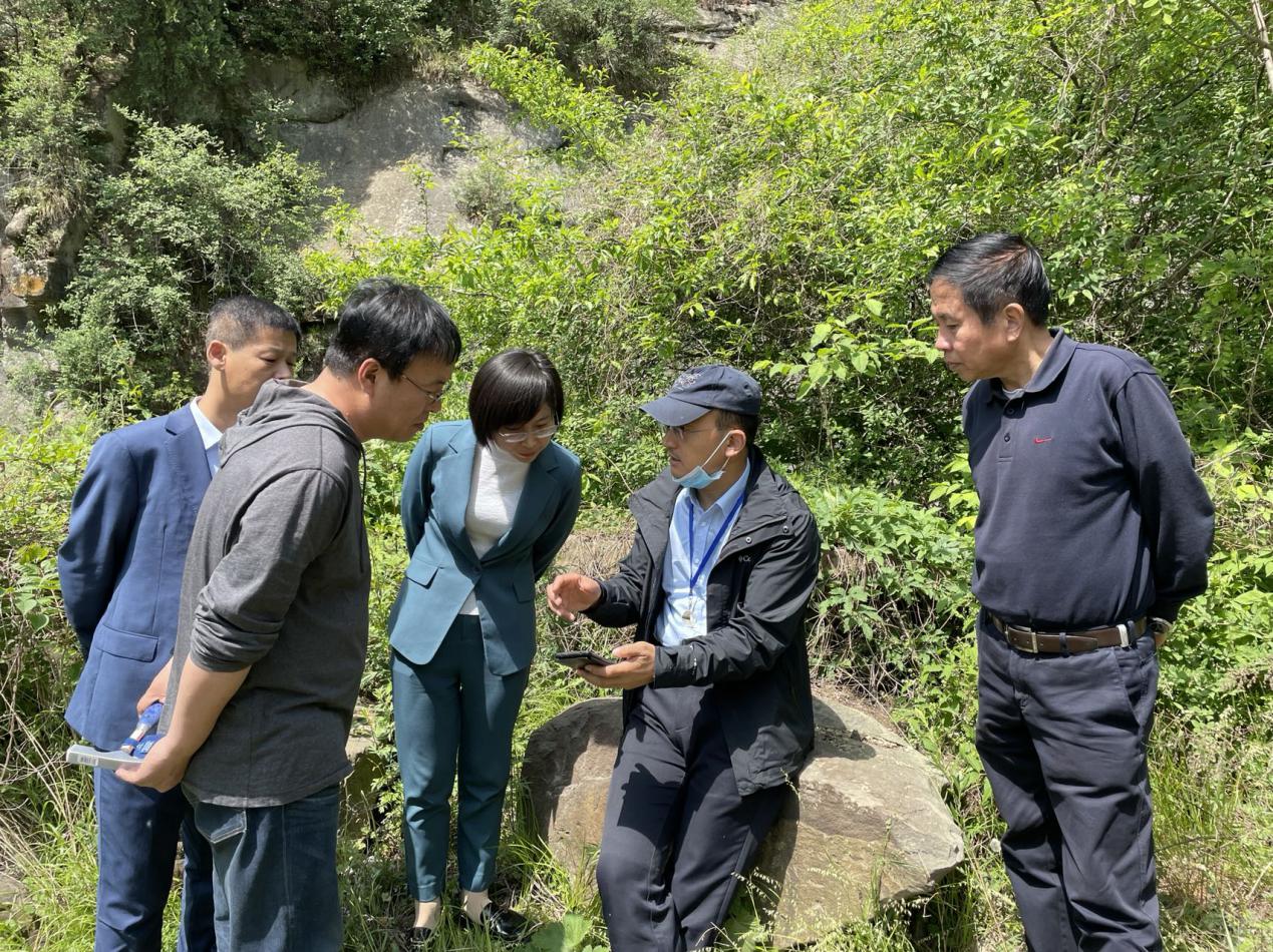 网赌网站
