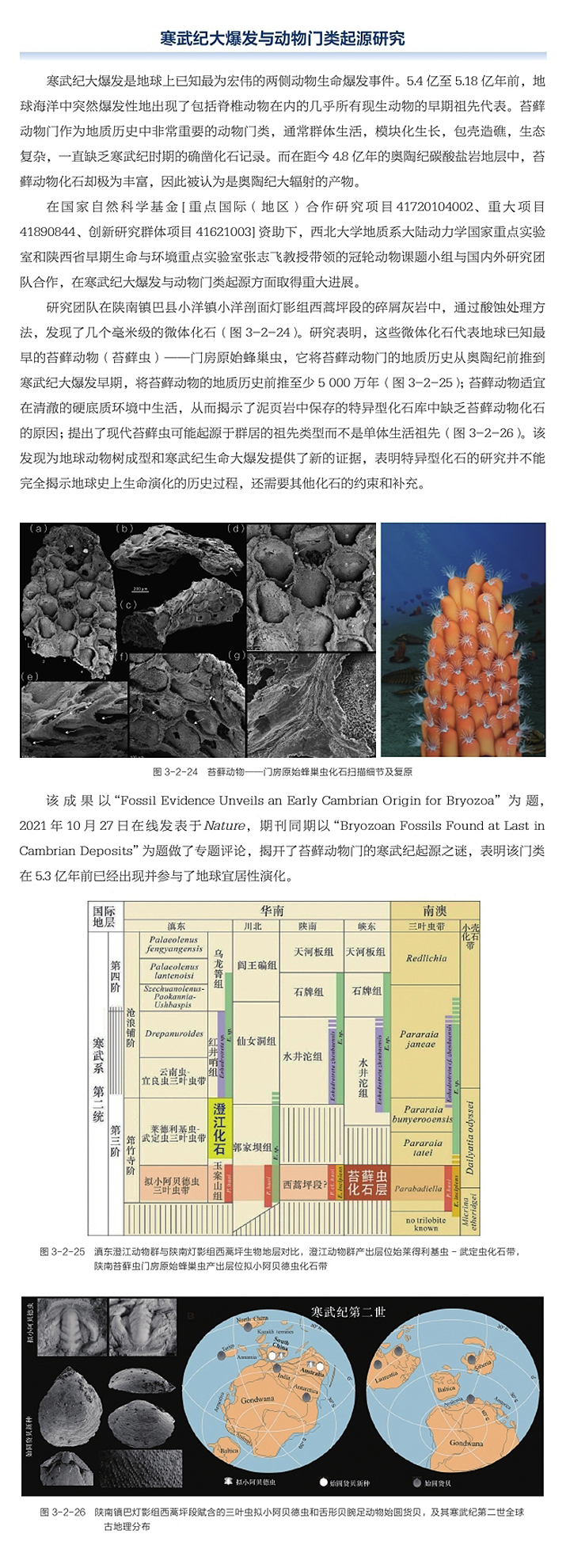 网赌网站