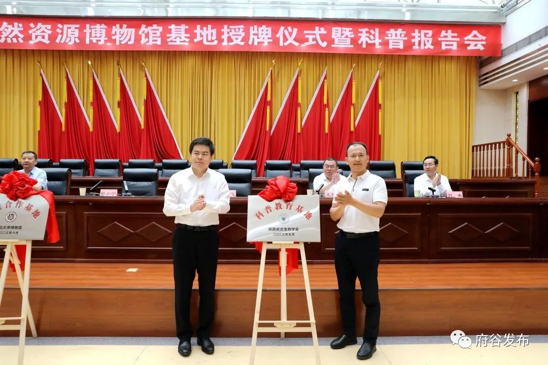网赌网站